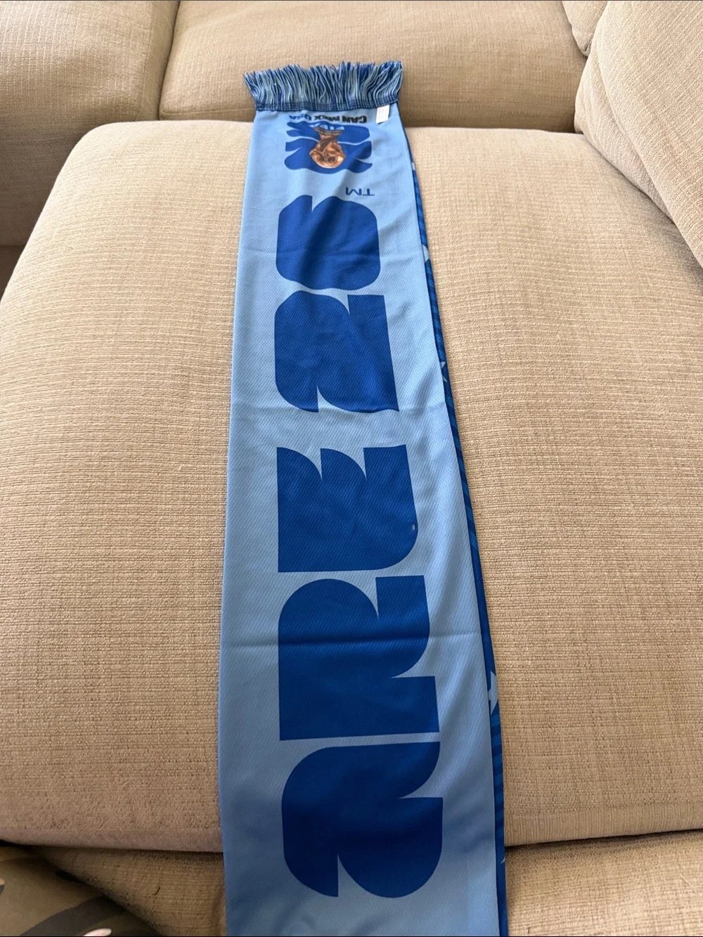FIFA World Cup 2026 Scarf in Blue